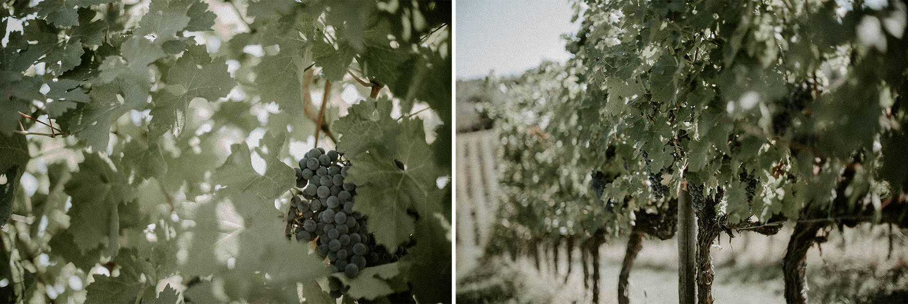 wedding photo in tuscany